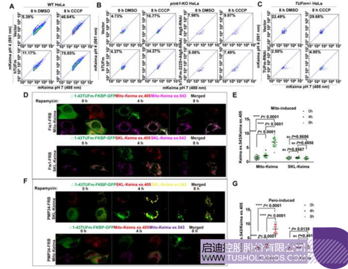 1603780617575727.png 2.PNG